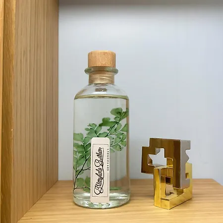 L'elegance, Premium - Lomme - Netflix Apartament *